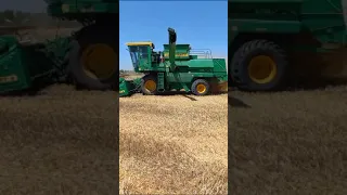 уборка озимой пшеницы 2023
