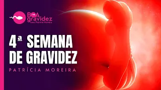 4 SEMANAS DE GRAVIDEZ - Gravidez Semana a Semana (Atualizada)
