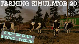 Farming Simulator 20 - Cows Guide