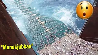 MENAJUBKAN Beginilah  Proses Penangkapan Ikan di Samudera Lepas