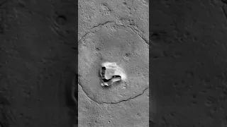 NASA spies Martian rocks that look just like a teddy bear