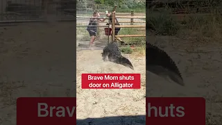 Brave Mom Shuts Door On Giant Alligator!!! 😱 #shorts #alligator