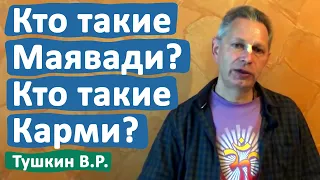 КТО ТАКИЕ МАЯВАДИ? КТО ТАКИЕ КАРМИ? • ВАСИЛИЙ ТУШКИН