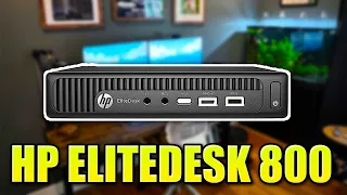 HP EliteDesk 800 Mini PC - Business, Office and School Mini Computer!