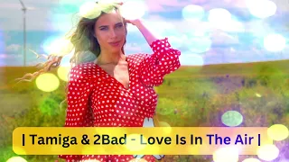 Tamiga & 2Bad  Love Is In The Air | Official Video Extended | top english song | hit song | pop song