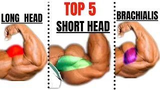 15  BEST BICEPS WORKOUT AT GYM TO GET BIGGER ARMS FAST