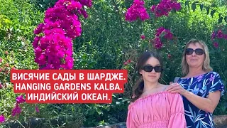 Новая достопримечательность в Эмиратах: Висячие сады в Шардже (Hanging Gardens Kalba).