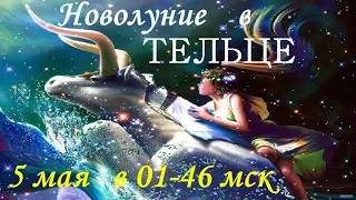 Новолуние 5 мая 2019  в ТЕЛЬЦЕ  ОСНОВЫ ПРОГНОЗИРОВАНИЯ СОБЫТИЙ!!!