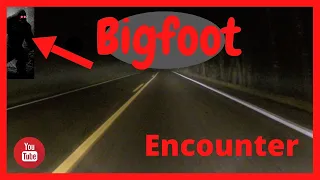 Bigfoot Encounter in Washington State Sasquatch Encounter Red Eyes my story