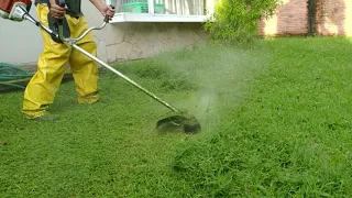 Babat Rumput Basah Sehabis Hujan (Trimming Wet Grass)