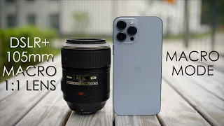 You DON'T need a MACRO lens anymore | iPhone 13 Pro Max vs DSLR Macro Lens