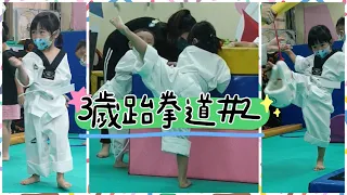 ELFIE 3y6m Taekwondo 跆拳道課程 #2