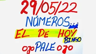 NUMEROS PERFECTO PARA HOY 29/05/22 DE MAYO 2022 , NUMEROS PARA LOTERIAS