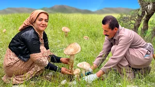 Kurdish village life: Climbing in the village to reach mountain MUSHROOMS and Cooking 🍄
