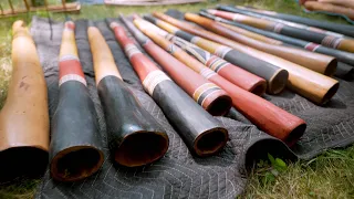 29 Eucalyptus Didgeridoos (all Aboriginal Made)