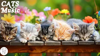 Music to Soothe Your Anxious Cat 😽 Cat Music for Deep Relaxation and Sleep | MUSIC FOR CATS