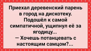 Деревенский Самец Приехал в Город на Дискотеку! Сборник Свежих Анекдотов! Юмор!