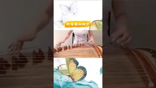 Guzheng Classic Music｜New Dream of Lovers 新鸳鸯蝴蝶梦