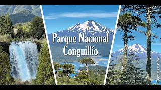 Parque Nacional Conguillío - Sendero Sierra Nevada, Los Carpinteros, Laguna Captrén.