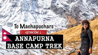 Annapurna Base Camp Trek Without Guide - E02 | Chomrong to MBC | Budget, Accommodation, Route