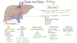 Chalk Talk: Acute Liver Failure