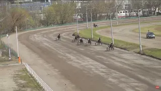 13.04.2024г. Раменский Ипподром Квалификационный заезд Жеребцы и Кобылы рожд  2020г. 1600м