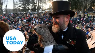 Groundhog Day: Phil sees shadow, six more weeks of winter expected | USA TODAY