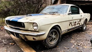 1965 Shelby GT350 Mustang Found and Rescued! Must Watch!