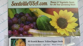 SEEDVILLE USA UNBOXING!!