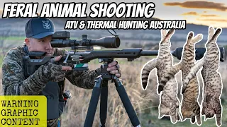 BEST Feral Cat Hunt of My Life! Day and Night with a Vertebrate Pest Controller - Pig & Fox Shooting