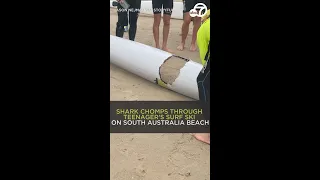 Shark chomps through teen's surf ski