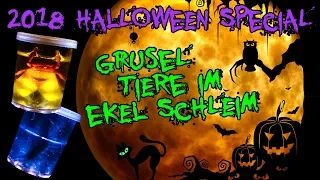 Halloween Special !!! Grusel Tiere im Ekel Schleim !!! VORSICHT SLIME !!!