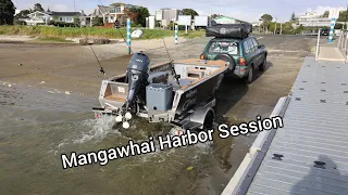 Big Trevally in the Mangawhai Harbor ( Catch and Cook )