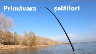 Pescuitul salaului primavara pe Dunare
