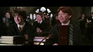 Gilderoy Lockhart Looses The Pixies - Harry Potter and the Chamber of Secrets