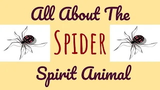 🌹🌙 THE SPIDER SPIRIT🌙🌹Spirit Animal Symbolism