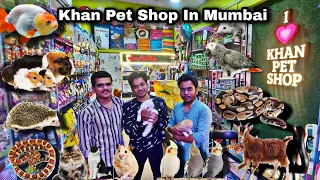 Khan Pet Shop , Exotic pet store Jogeshwari Mumbai