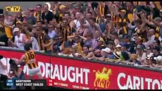 Top 10 goals from Hawthorn Three-Peat