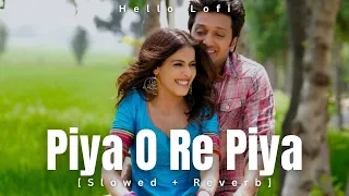 Piya O Re Piya (Slowed + Reverb) | Riteish Deshmukh, Genelia | Atif Aslam, Shreya | Hello Lofi