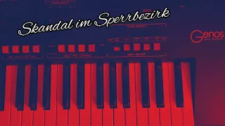 Skandal im Sperrbezirk - Spider Murphy Gang  - Cover by Yamaha Genos Keyboard Musik 80er Dance Hit