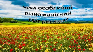 Урок 49. " Чим різноманітний особливий світ рослин?". Я досліджую світ 3 клас