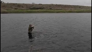 Salmon fishing on the River Tweed at West Newbiggin 8th March 2024