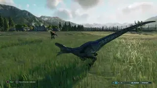 Jurassic World Evolution 2: Blue Velociraptor vs Dominion Pyroraptor