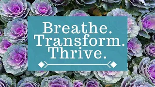 Transmute Your Energy with Breathwork Part 1