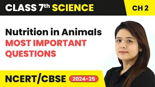 Nutrition in Animals - Most Important Questions | Class 7 Science Chapter 2 | CBSE 2024-25