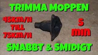 TRIMMA MOPPEN PÅ UNDER 5 MINUTER!!! (Dra pluggen)(läs beskrivning)