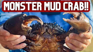 MONSTER MUD CRAB on a HAND LINE?? + Catch & Cook