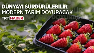 Dünyayı sürdürülebilir modern tarım doyuracak