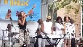 Michelle Williams - If We Had Your Eyes (Live Harlem Fest 2013)