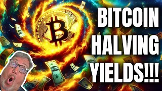 Bitcoin Will Generate YOU Cash After the Halving! Here's How!!!